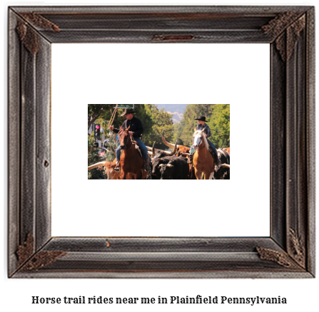 horse trail rides near me in Plainfield, Pennsylvania